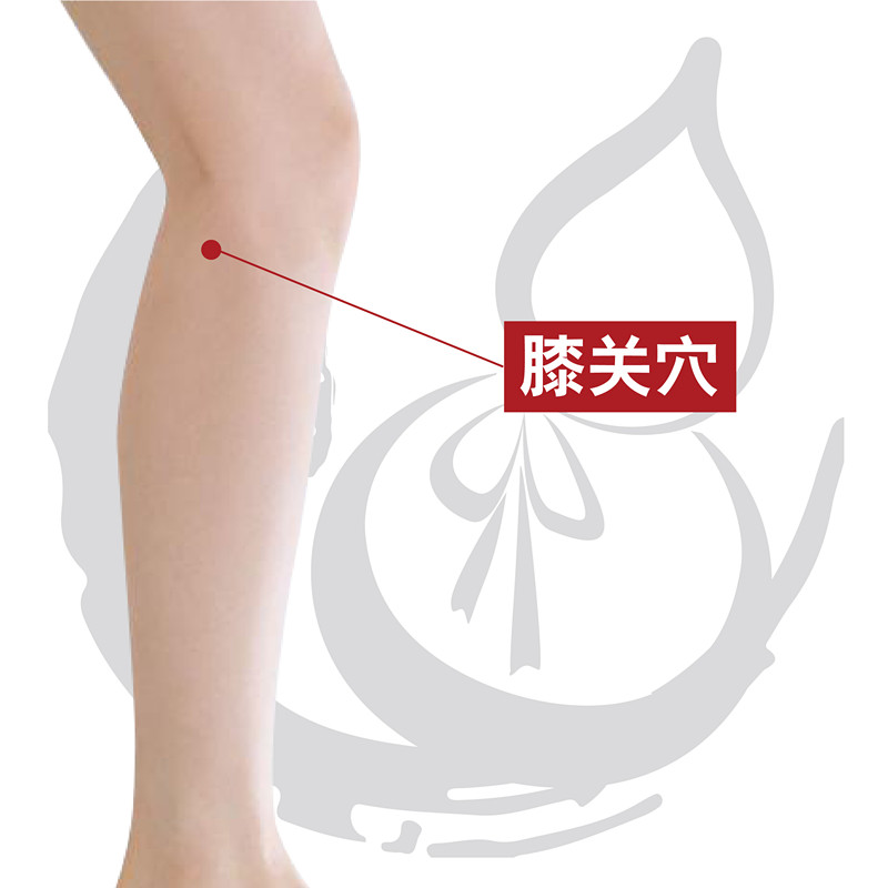 穴位经络祛百病：膝关穴治疗下肢痿痹，膝部肿痛