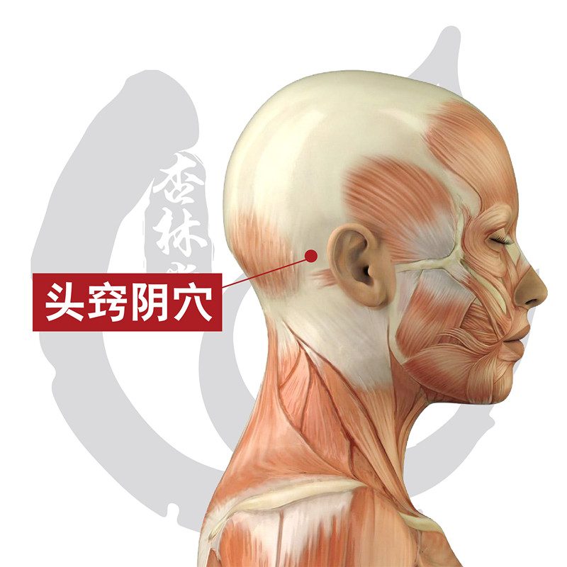 穴位经络祛百病：头窍阴穴治疗耳鸣、头痛、颈项强痛